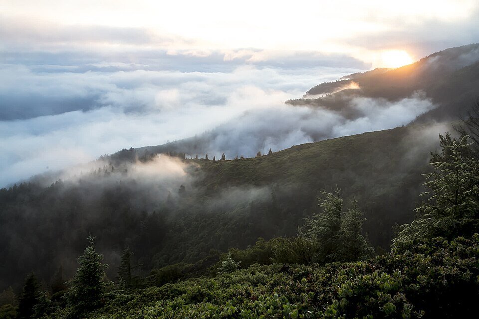 Solo vs. Group Travel: Which Actually Produces the Better Experience