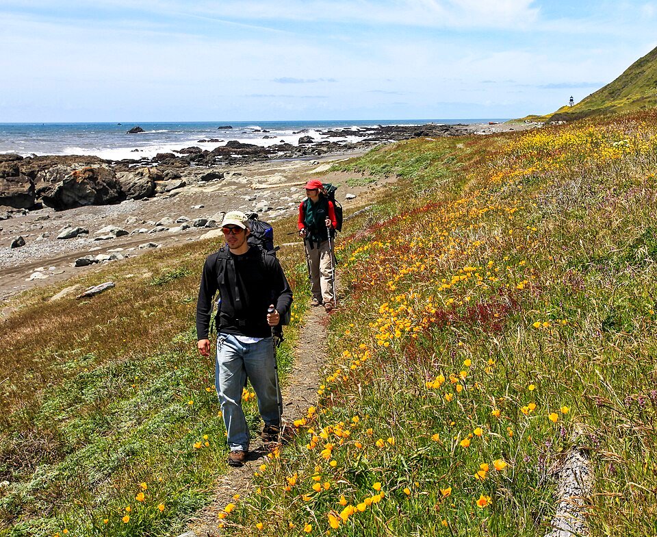 Solo vs. Group Travel: Which Actually Produces the Better Experience